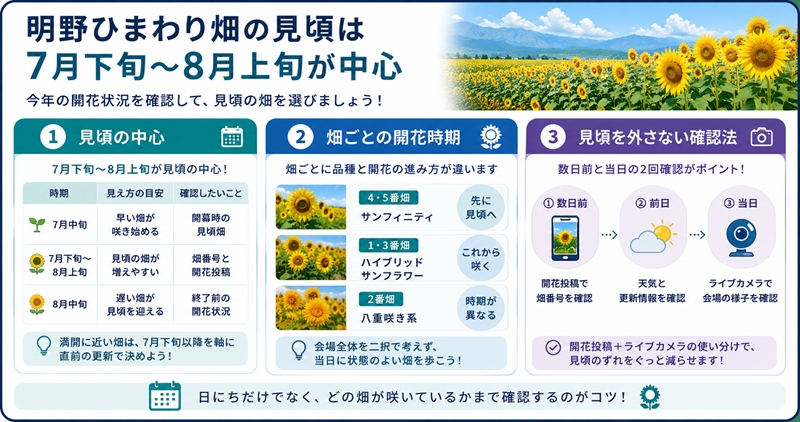 結論：明野ひまわり畑の見頃は7月下旬〜8月上旬が中心