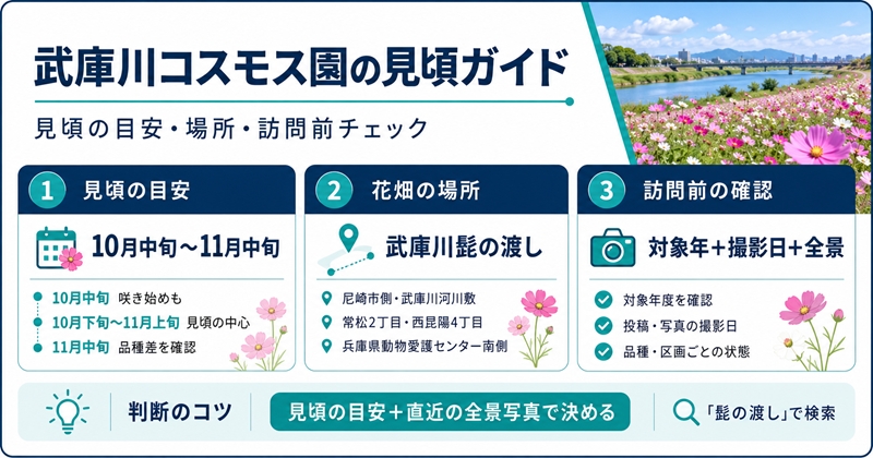 武庫川コスモス園は例年10月中旬〜11月中旬が見頃の目安