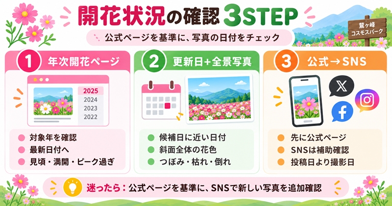 鷲ヶ峰コスモスパークの開花状況を確認する方法