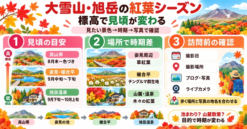 大雪山・旭岳の紅葉シーズンは標高で見頃が変わる