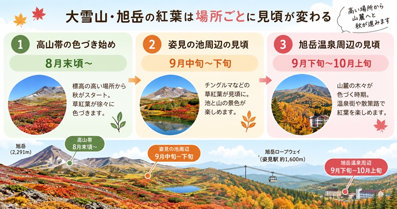 大雪山・旭岳の紅葉の見頃時期はいつからいつまで？