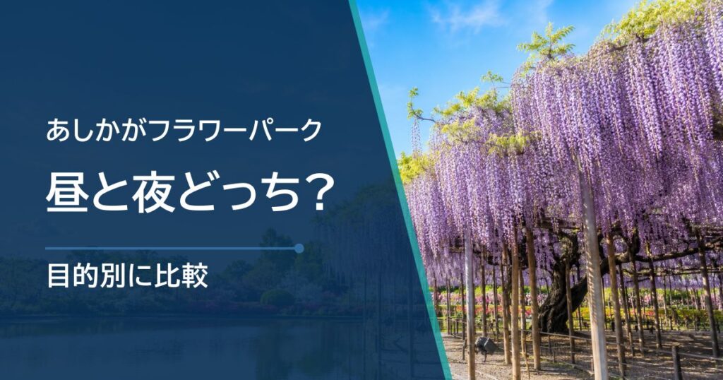 あしかがフラワーパークは昼と夜どっちがいい？違いとおすすめを目的別に比較