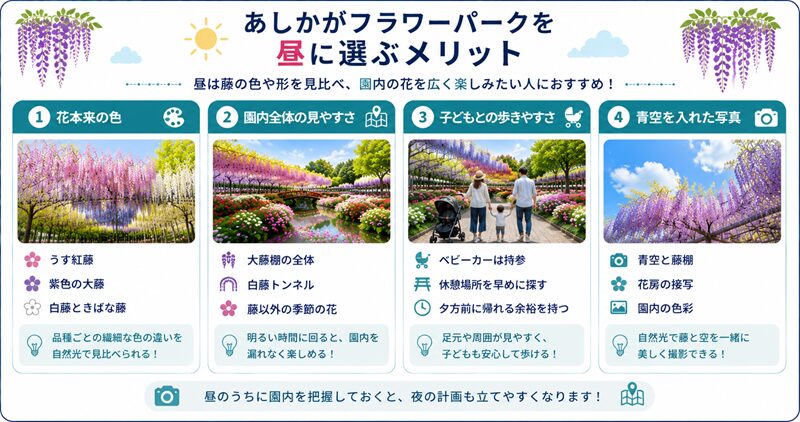あしかがフラワーパークを昼に選ぶメリット