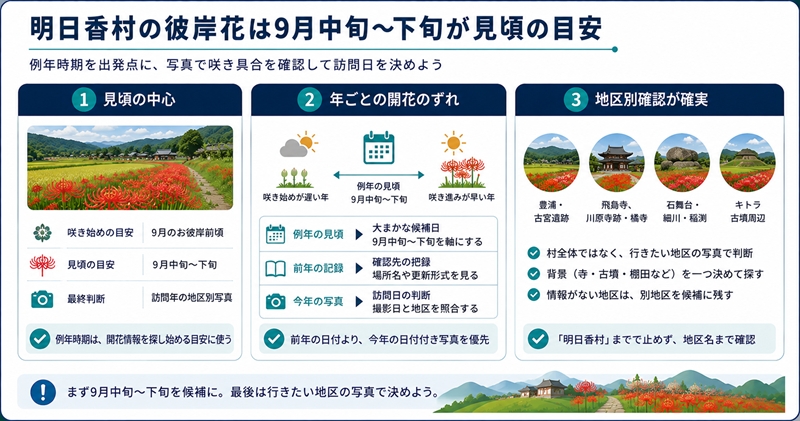 明日香村の彼岸花は9月中旬〜下旬が見頃の目安