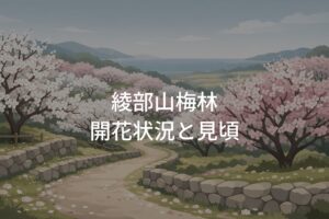 綾部山梅林の開花状況まとめ！見頃時期と満開予想