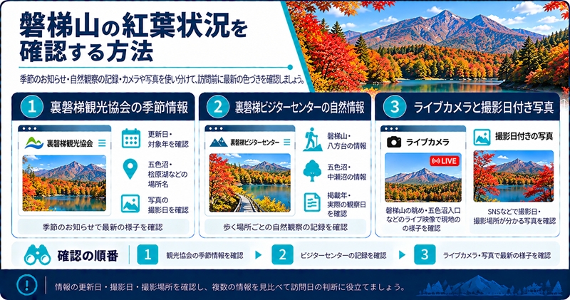 五色沼の最新の紅葉状況を確認する方法