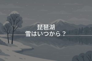 琵琶湖の雪はいつから？旅行前に知るべき冬の注意点