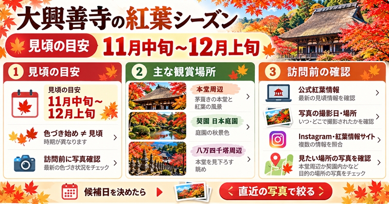 大興善寺の紅葉シーズンは例年11月中旬〜12月上旬が見頃の目安