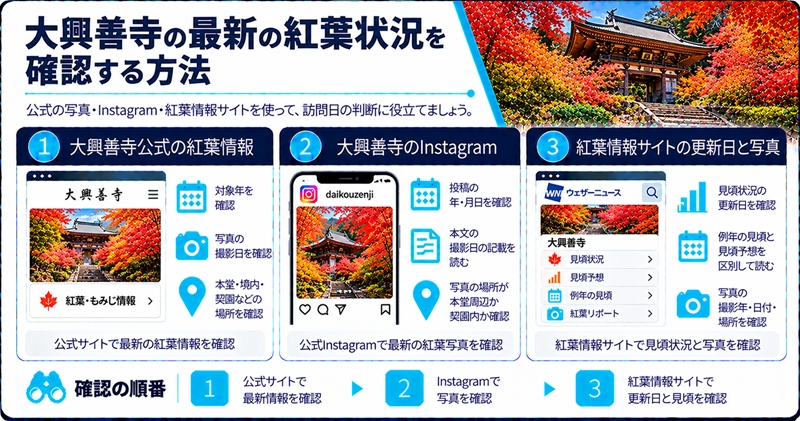 大興善寺の最新の紅葉状況を確認する方法