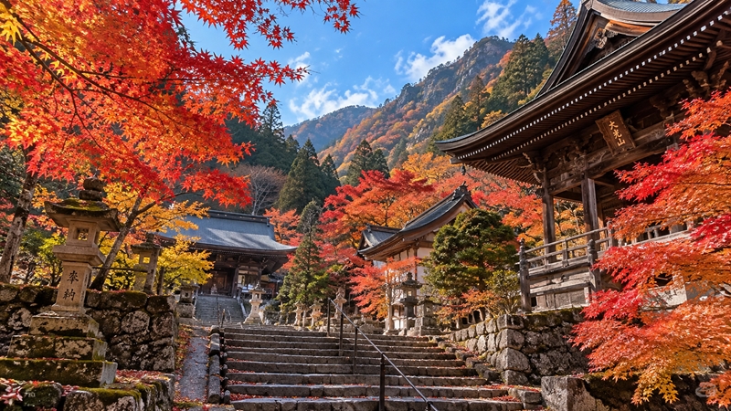 大興善寺の紅葉シーズンの見頃時期はいつからいつまで？