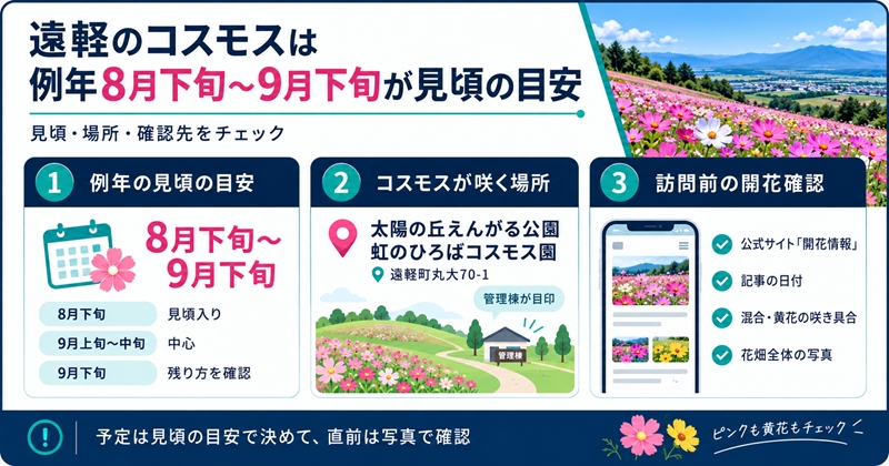 遠軽のコスモスは例年8月下旬〜9月下旬が見頃の目安
