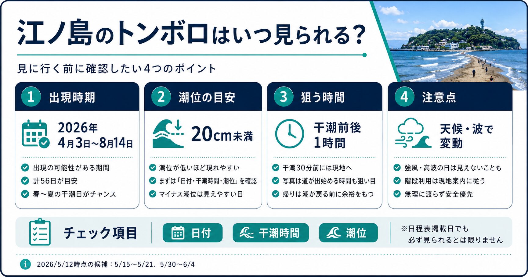 江ノ島のトンボロはいつ見られる？