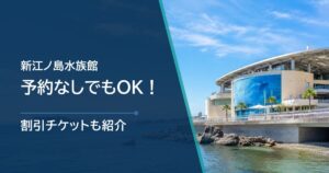 新江ノ島水族館 予約は必要か？予約なしで入れる日とチケット購入方法