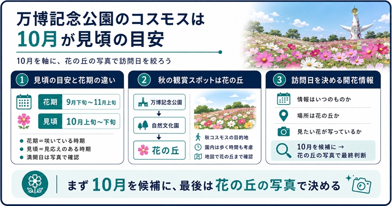 万博記念公園のコスモスは10月が見頃の目安