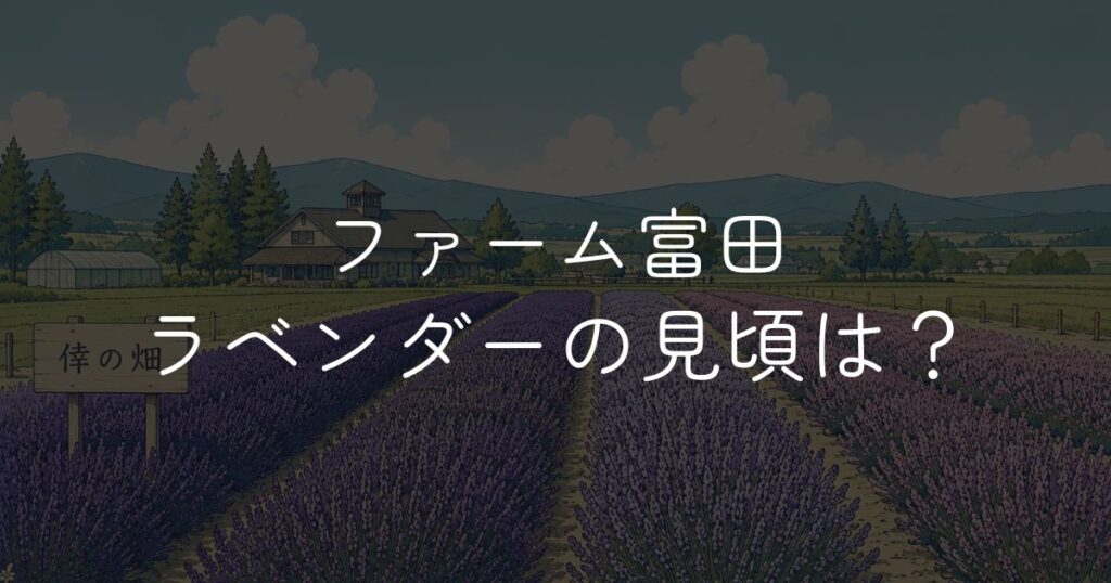 ファーム富田ラベンダーの見頃はいつ？開花状況と訪問時期