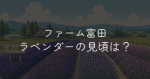 ファーム富田ラベンダーの見頃はいつ？開花状況と訪問時期