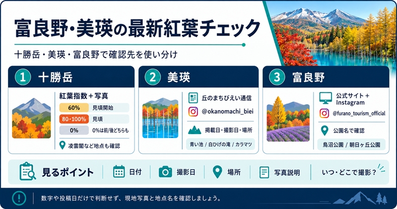 富良野・美瑛の最新の紅葉状況を確認する方法