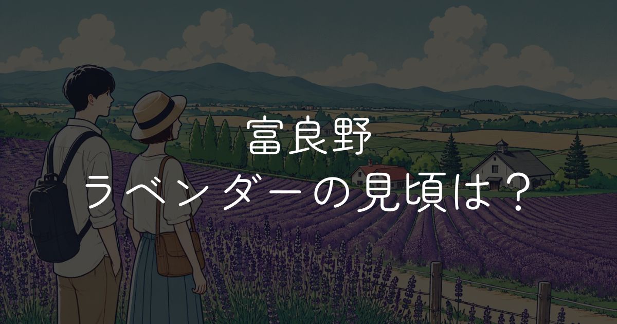 富良野ラベンダーの見頃時期はいつ？おすすめ畑と開花状況
