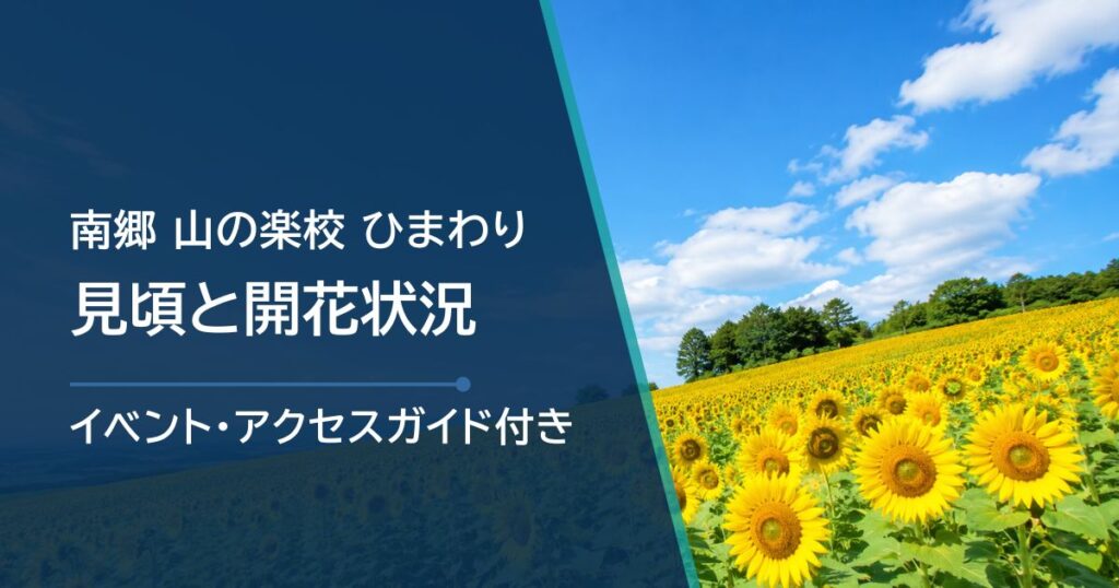 【2026年】八戸・南郷「山の楽校」ひまわりの開花状況と見頃時期