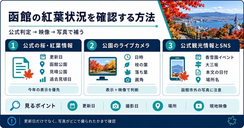 函館の紅葉状況を確認する方法