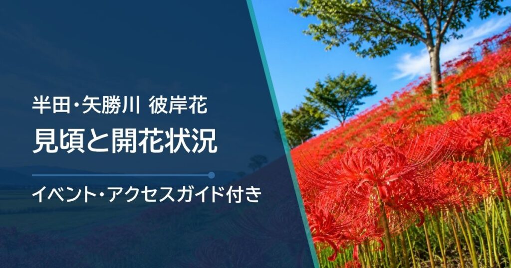【2026年】半田・矢勝川の彼岸花の開花状況と見頃｜ごんの秋まつり・駐車場も