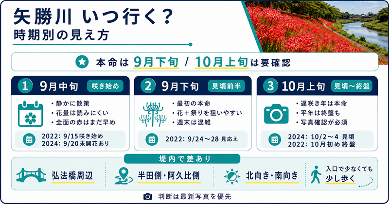 矢勝川の彼岸花はいつ行く？時期別の見え方