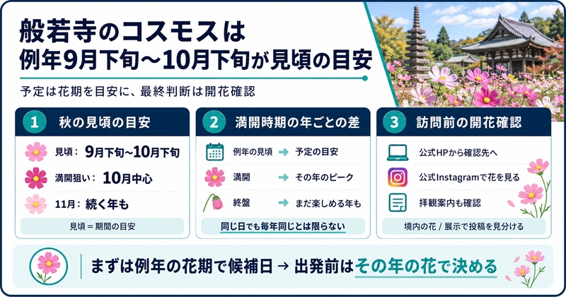 般若寺のコスモスは例年9月下旬〜10月下旬が見頃の目安