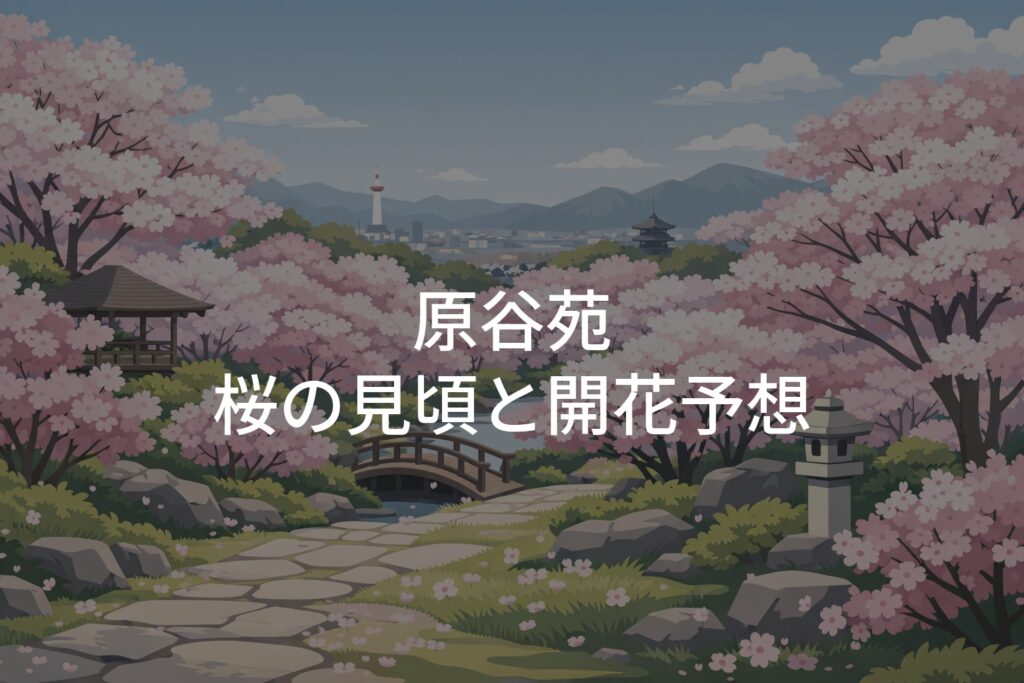 【2026年】原谷苑 桜の見頃はいつ？開花予想と満開時期