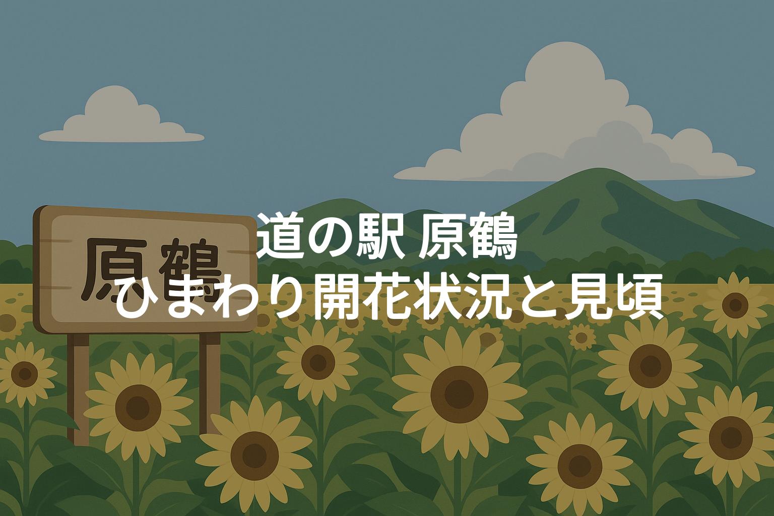 道の駅 原鶴のひまわり開花状況！見頃とフェア情報まとめ