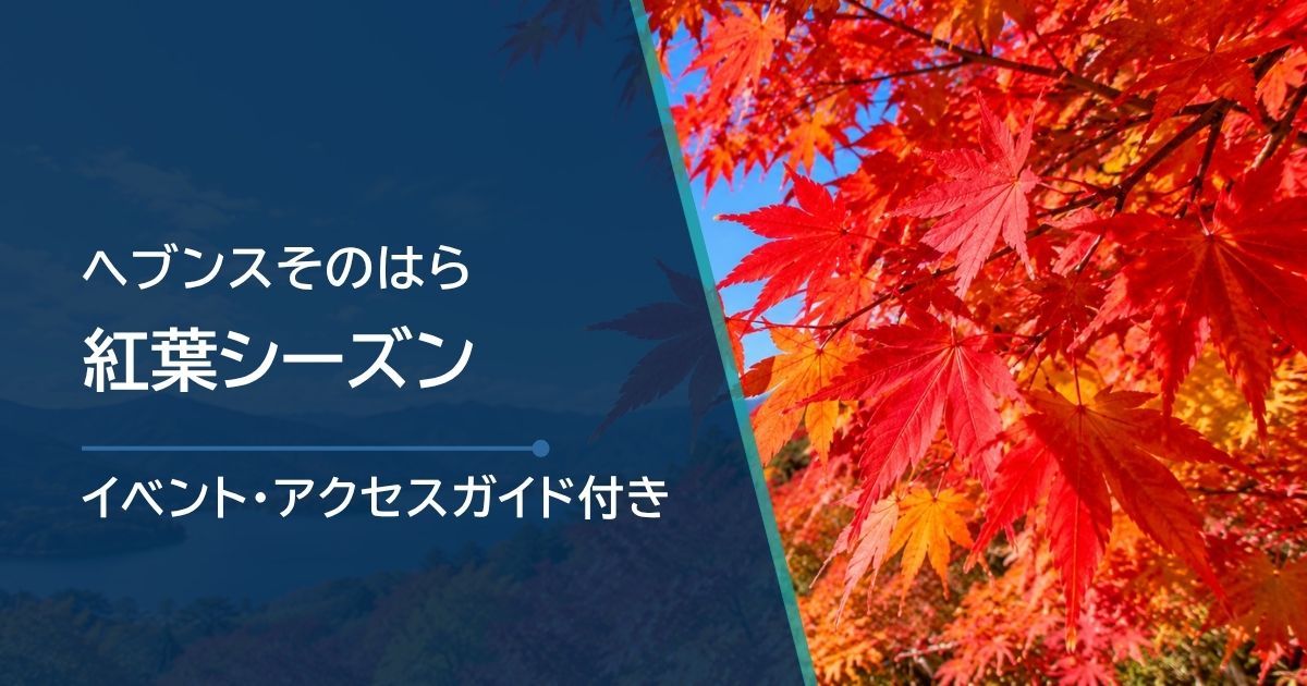 ヘブンスそのはらの紅葉シーズンはいつ？見頃時期と最新状況の確認方法
