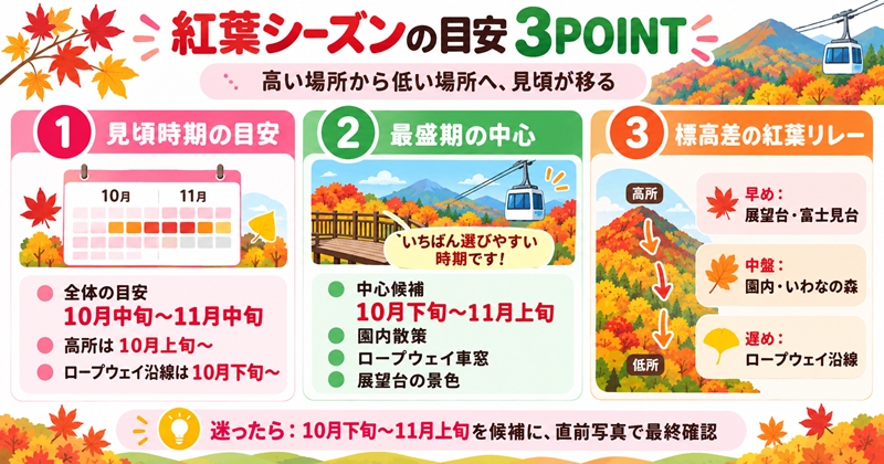 ヘブンスそのはらの紅葉シーズンは例年10月中旬〜11月中旬が目安