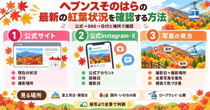 ヘブンスそのはらの最新の紅葉状況を確認する方法