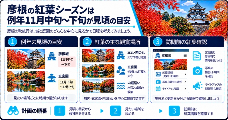 彦根の紅葉シーズンは例年11月中旬〜下旬が見頃の目安