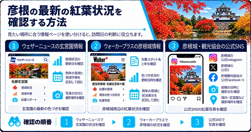 彦根の最新の紅葉状況を確認する方法