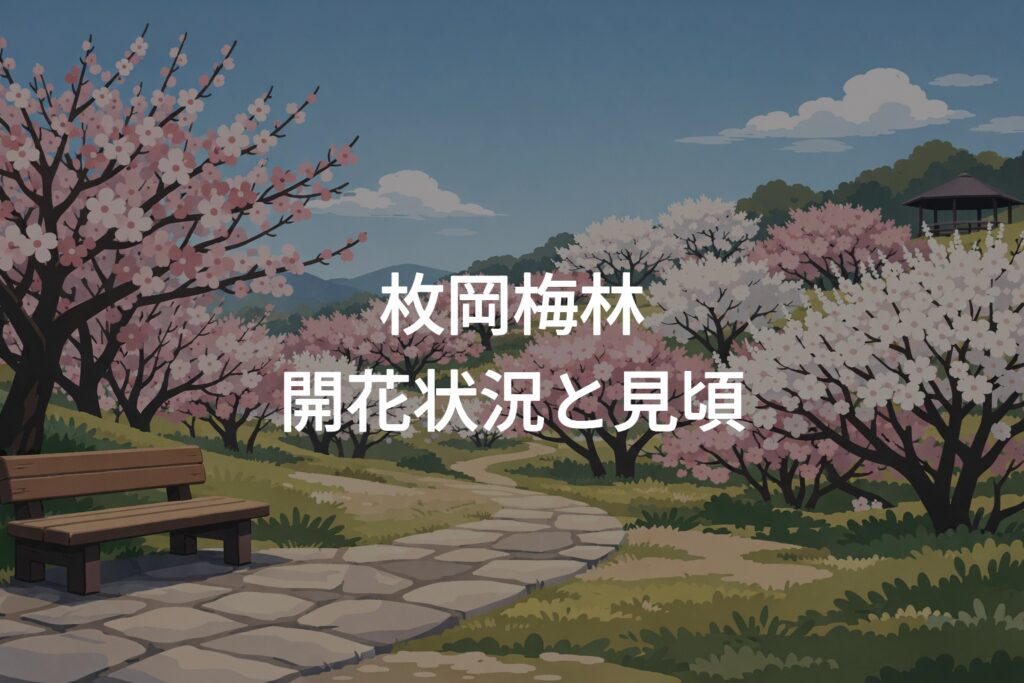 枚岡梅林の開花状況！満開時期と見頃の情報