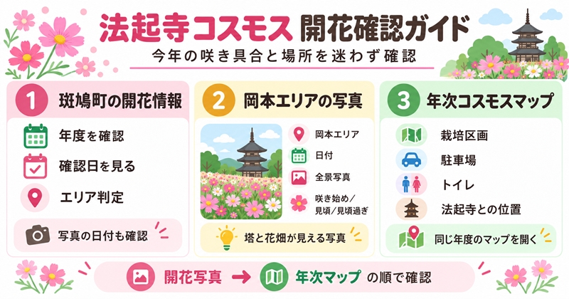 法起寺のコスモスの開花状況を確認する方法