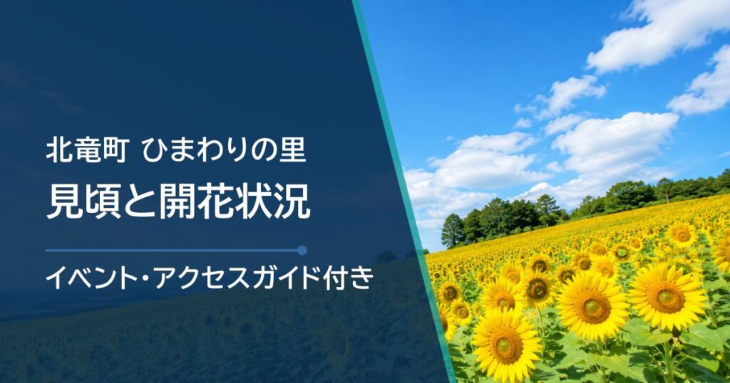 【2026年】北竜町ひまわりの里の見頃はいつ？開花状況の確認方法も解説