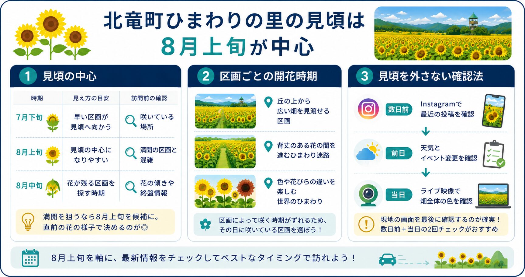 北竜町ひまわりの里の見頃は8月上旬が中心