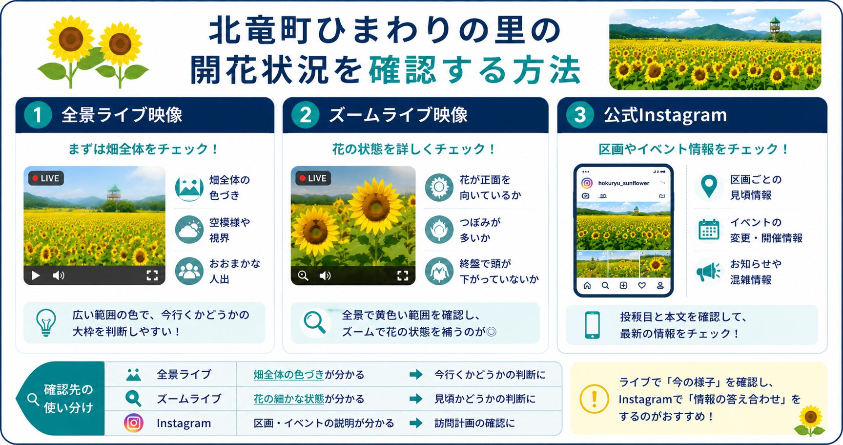 北竜町ひまわりの里の開花状況を確認する方法