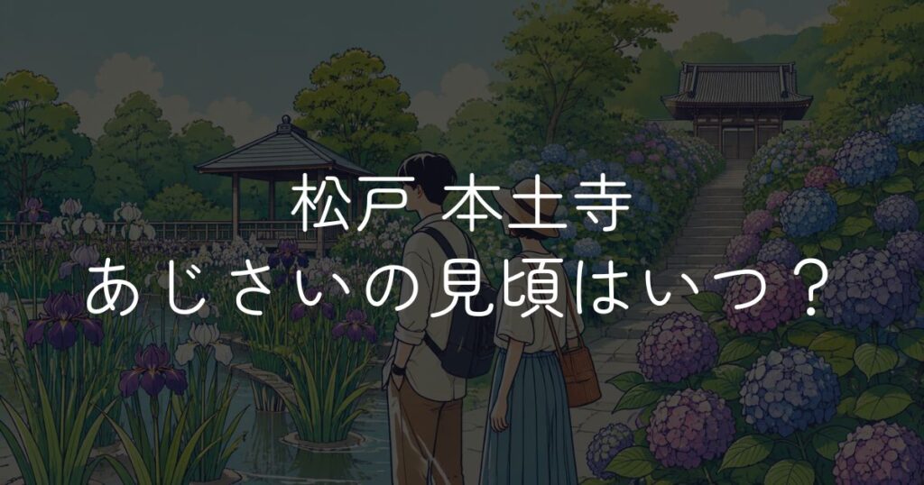 【2026年】本土寺あじさいの見頃はいつ？開花状況と楽しみ方