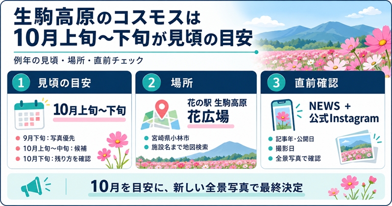 生駒高原のコスモスは例年10月上旬〜下旬が見頃の目安
