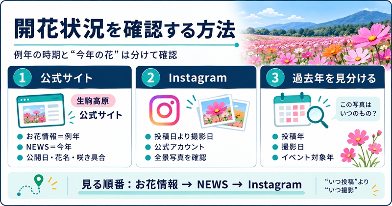 生駒高原のコスモスの開花状況を確認する方法