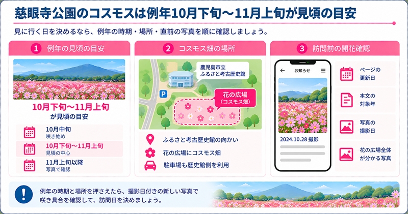 慈眼寺公園のコスモスは例年10月下旬〜11月上旬が見頃の目安