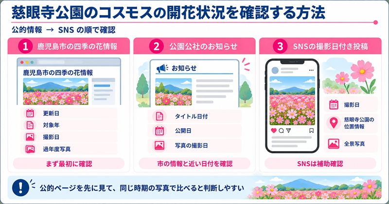 慈眼寺公園のコスモスの開花状況を確認する方法