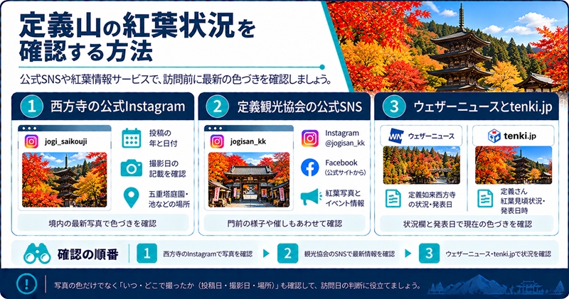 定義山の紅葉状況を確認する方法