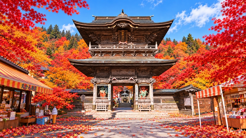 定義山の紅葉シーズンの見頃時期はいつからいつまで?