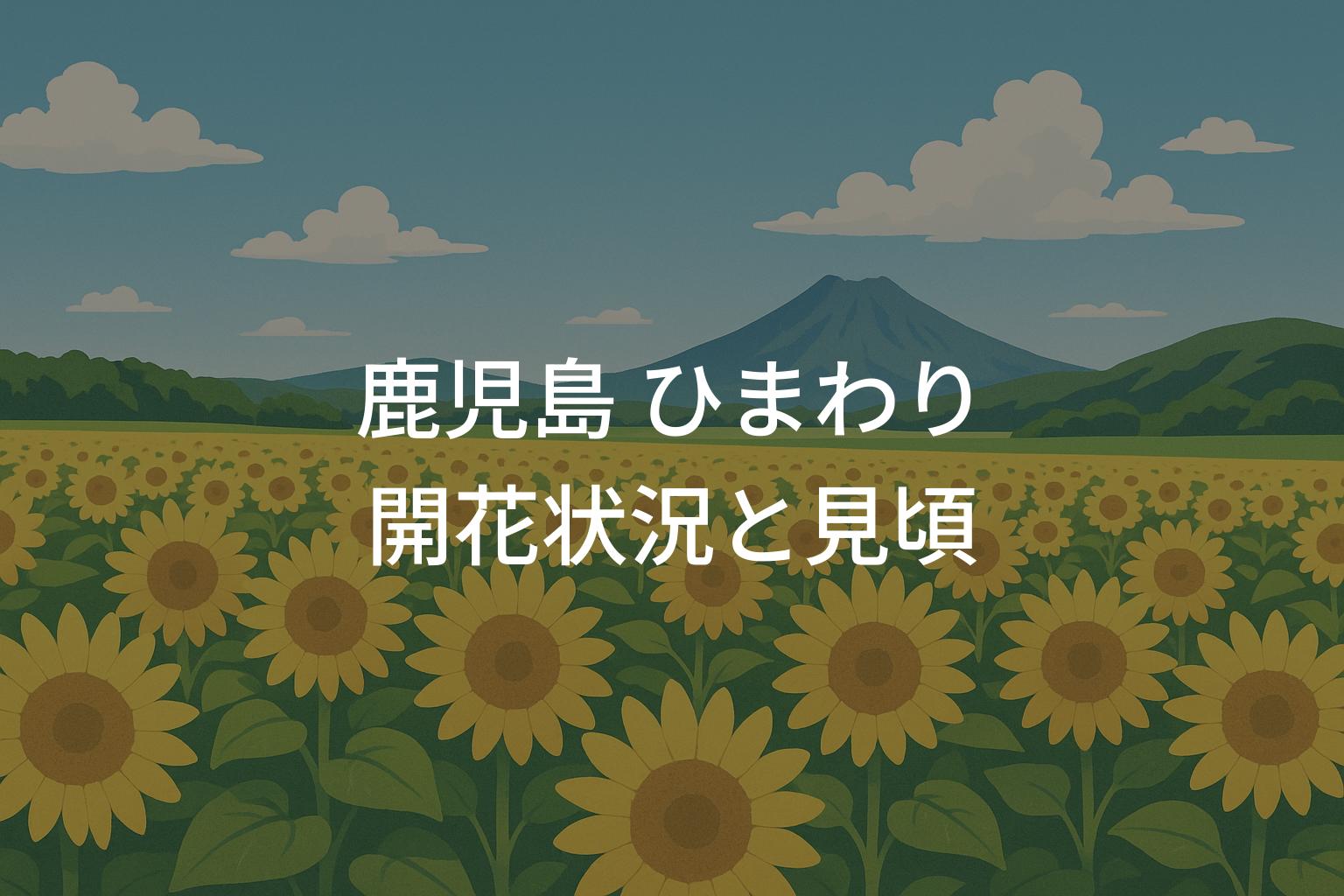 【2025年】鹿児島ひまわりの開花状況と見頃時期を紹介！