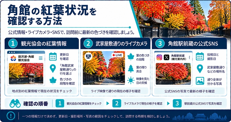 角館の紅葉状況を確認する方法