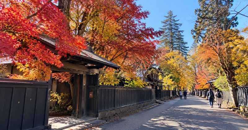 角館の紅葉の見頃時期はいつからいつまで？