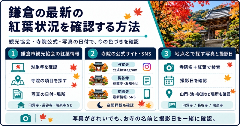 鎌倉の最新の紅葉状況を確認する方法